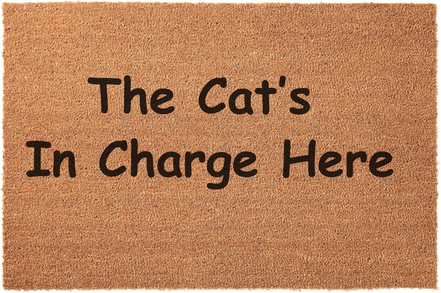 The cats in charge here